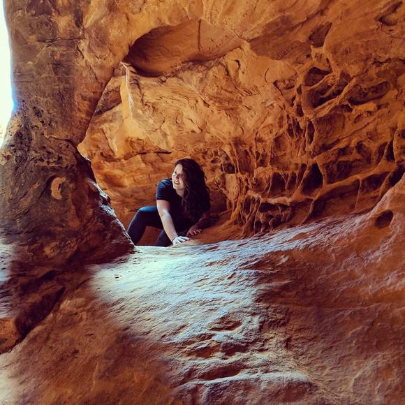 Meet your Posher, Nikola - Picture 1 of 1